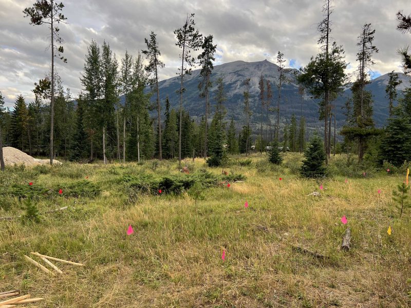 2019 Jasper Site Prep JH