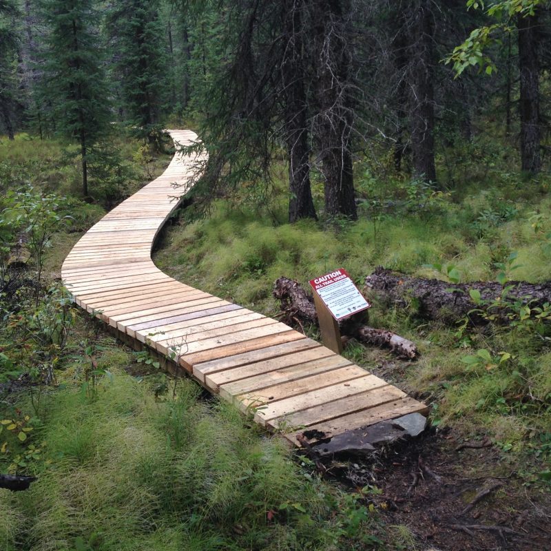 Happy Creek Trail with boardwalk, Hinton, AB